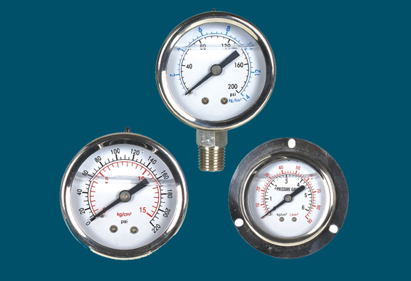耐(nai)震壓力表