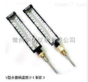 XY-020闆式殺(shā)菌鍋溫度計廠(chang)家